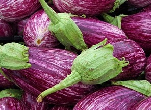 تصویر 3 از قیمت خرید بادمجان بنفش روشن + فروش ویژه