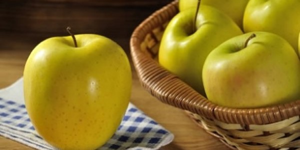 تصویر 2 از خرید سیب زرد درختی + قیمت عالی باکیفیت
