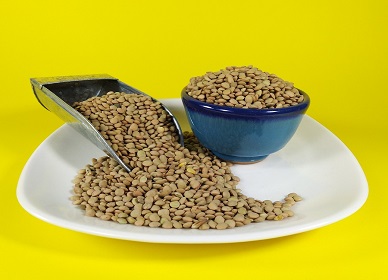 تصویر 5 از قیمت خرید عدس درشت ریز + فروش ویژه