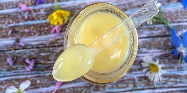 تصویر 3 از فروش عمده ژل رویال به صرفه