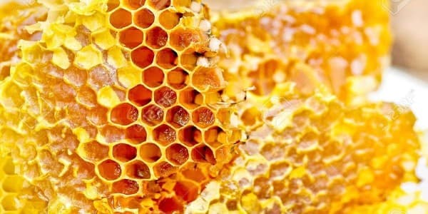 تصویر 4 از خرید و فروش موم عسل درمانی با شرایط فوق العاده
