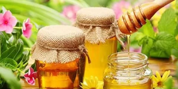 تصویر 4 از قیمت و خرید عسل طبیعی چهل گیاه + فروش ارزان
