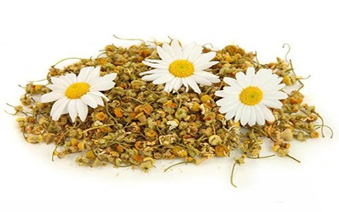تصویر 2 از فروش بابونه شیرازی خشک شده + قیمت خرید به صرفه