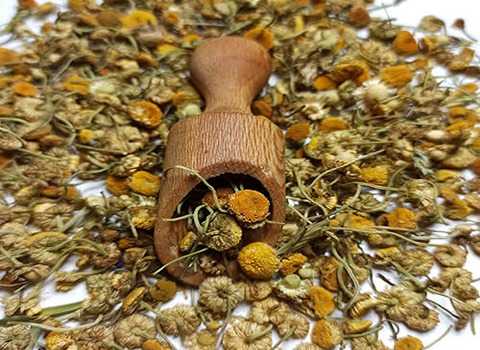 تصویر 2 از خرید و قیمت گیاه خشک شده بابونه + فروش عمده