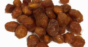 تصویر 5 از قیمت خرید آلو بخارا شوقان + فروش ویژه