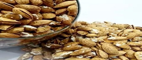 تصویر 5 از معرفی بادام درختی ارگانیک + بهترین قیمت خرید