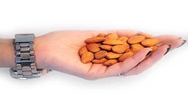تصویر 5 از راهنمای خرید بادام درختی سنجابک + قیمت عالی