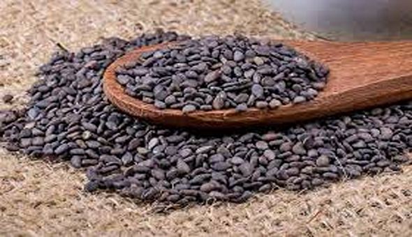 تصویر 2 از قیمت تخم بارهنگ اصل + خرید باور نکردنی