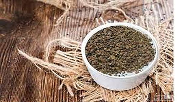 تصویر 4 از قیمت تخم بارهنگ اصل + خرید باور نکردنی