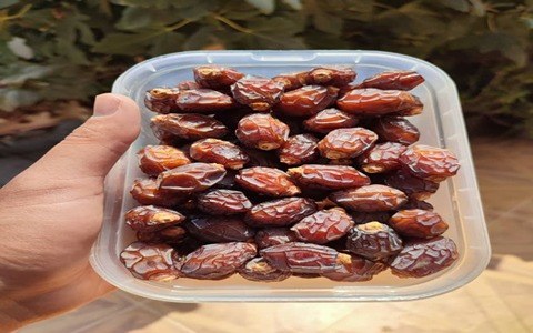 تصویر 1 از قیمت خرما خاصویی خشک + خرید باور نکردنی