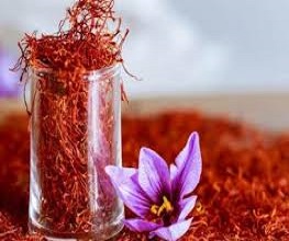 تصویر 5 از خرید و فروش زعفران یک مثقالی با شرایط فوق العاده