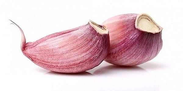 تصویر 3 از خرید و قیمت سیر قرمز آذرشهر  + فروش عمده