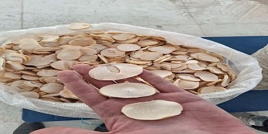 تصویر 4 از خرید اسلایس موسیر همدان + قیمت فروش استثنایی