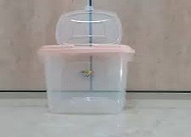 تصویر 1 از خرید و قیمت سطل پلاستیکی ۵ کیلویی + فروش صادراتی