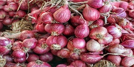 تصویر 1 از قیمت موسیر همدان + خرید باور نکردنی
