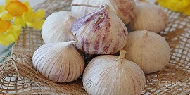 تصویر 3 از قیمت موسیر همدان + خرید باور نکردنی