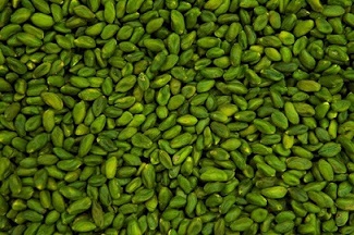 تصویر 5 از قیمت خرید پسته سبز قزوین + فروش ویژه