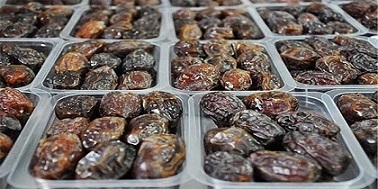 تصویر 2 از خرید جدیدترین انواع خرما شهابی بوشهر