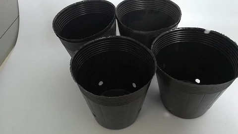 تصویر 3 از قیمت خرید گلدان پلاستیکی مشکی + فروش ویژه