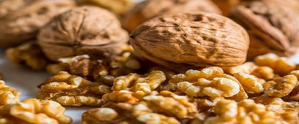 تصویر 2 از خرید مغز گردو تویسرکان + قیمت فروش استثنایی
