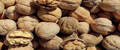 تصویر 3 از خرید مغز گردو تویسرکان + قیمت فروش استثنایی