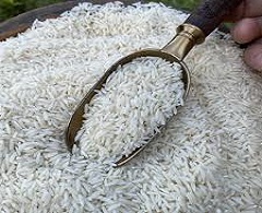 تصویر 3 از قیمت برنج طارم هاشمی درجه یک  + خرید باور نکردنی