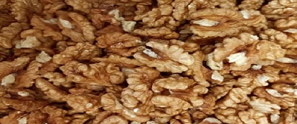 تصویر 4 از خرید گردو پوست کنده صادراتی + قیمت فروش استثنایی