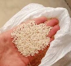 تصویر 4 از قیمت خرید برنج طارم هاشمی شمال  + فروش ویژه