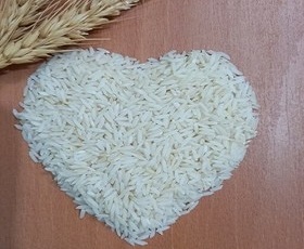 تصویر 4 از خرید و فروش  برنج طارم هاشمی فریدونکنار  با شرایط فوق العاده