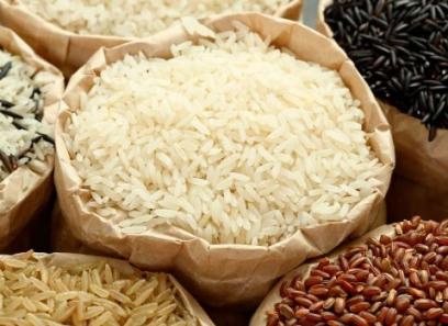 تصویر 1 از قیمت خرید برنج چمپا اصل + فروش ویژه