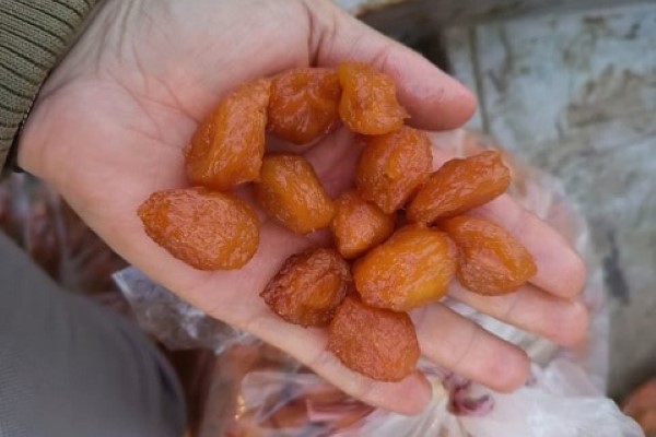 تصویر 1 از قیمت و خرید آلو بخارا حاج حسنی + فروش ارزان
