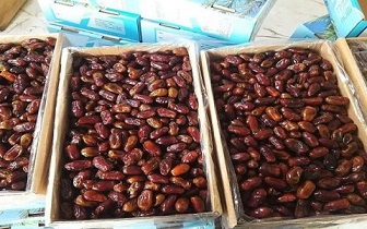 تصویر 3 از قیمت خرید خرما استعمران خوزستان + فروش ویژه