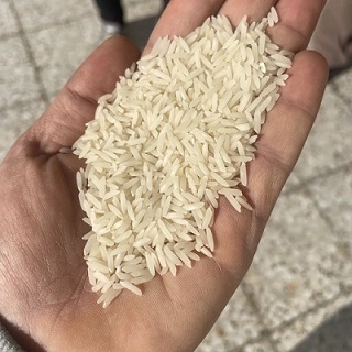 قیمت خرید برنج عنبربو شوشتر + فروش ویژه