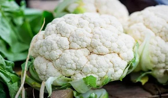 تصویر 3 از خرید گل کلم اصفهان + قیمت فروش استثنایی