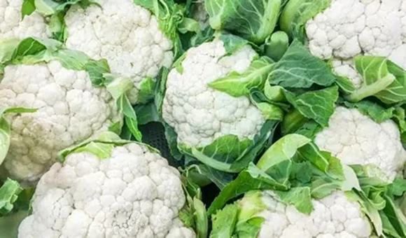 تصویر 5 از خرید گل کلم اصفهان + قیمت فروش استثنایی