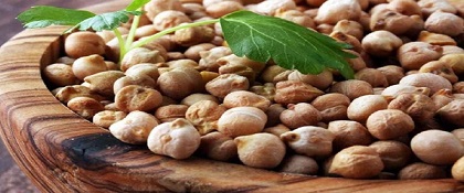 تصویر 1 از خرید نخود عمده کرمانشاهی + قیمت فروش استثنایی