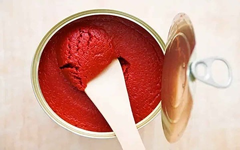 قیمت رب گوجه فرنگی پانلا + خرید باور نکردنی
