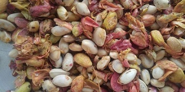 تصویر 3 از قیمت خرید پسته احمد آقایی زعفرانیبا فروش عمده