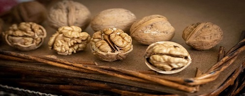 تصویر 1 از قیمت خرید گردو پوست کاغذی ایرانی عمده به صرفه و ارزان
