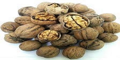 تصویر 3 از قیمت خرید گردو پوست کاغذی ایرانی عمده به صرفه و ارزان