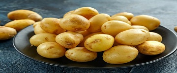 تصویر 2 از خرید سیب زمینی بامبا صادراتی + قیمت فروش استثنایی