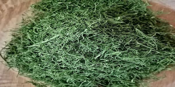 تصویر 3 از قیمت گیاه خشک اسطوخودوس  + خرید باور نکردنی