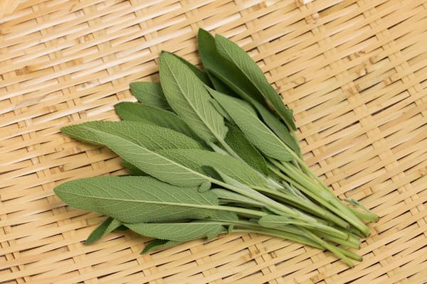 تصویر 4 از قیمت گیاه خشک اسطوخودوس  + خرید باور نکردنی