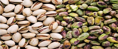 تصویر 2 از خرید پسته کله قوچی تازه + قیمت فروش استثنایی