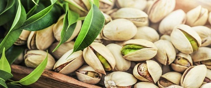 تصویر 5 از خرید پسته احمد آقایی لب ماتیکی + قیمت فروش استثنایی