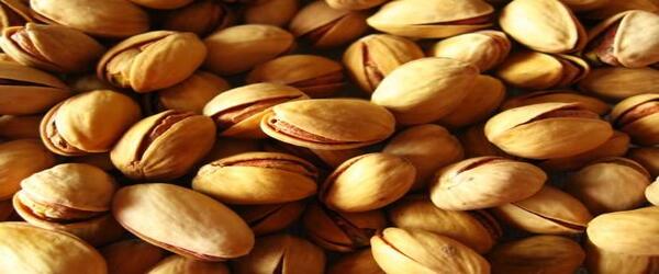 تصویر 1 از خرید پسته اکبری خام دستچین + قیمت فروش استثنایی
