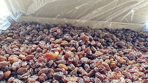 تصویر 2 از خرید جدیدترین انواع کشمش آفتاب خشک