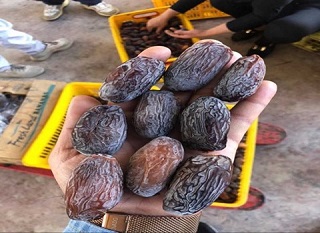 تصویر 3 از قیمت خرید خرما زاهدی جهرم + فروش ویژه