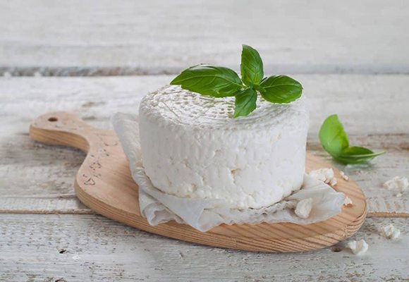 تصویر 4 از خرید و قیمت استابلایزر پنیر لاکتیکی + فروش عمده