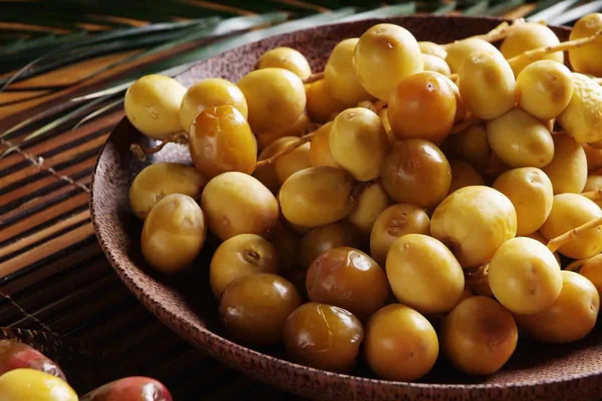 تصویر 5 از خرید و فروش خرما خارک اعلاء با شرایط فوق العاده